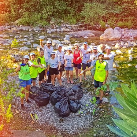 _Temiz Ormanlar Projesi-5B