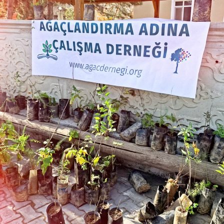 _Tohum Dağıtımı Projesi-5B